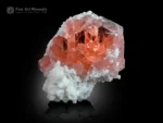 Gemmy pink fluorite crystal with glassy luster on white albite matrix.