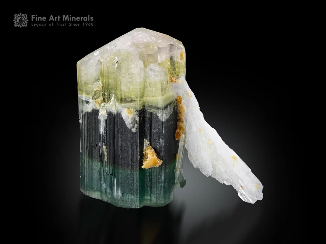 Green tourmaline crystal with vertical striations and white albite association, Pakistan.