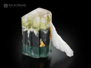 Green tourmaline crystal with vertical striations and white albite association, Pakistan.