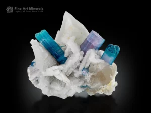 Blue and purplish indicolite tourmaline crystals on white cleavelandite and quartz matrix.
