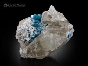 Blue indicolite tourmaline crystals with purplish tones on quartz and albite matrix.