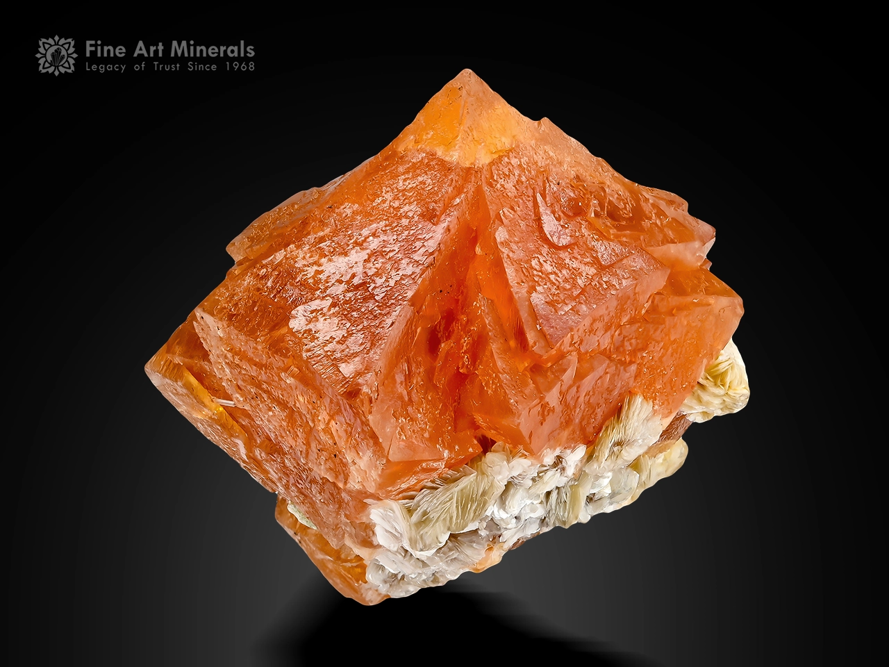 Scheelite crystal with vibrant orange color and interlocking habit on muscovite matrix from Gilgit Baltistan, Pakistan.