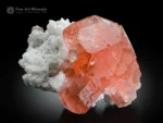 Intense pink fluorite crystals with transparency and sculptural form on subtle albite from Chumar Bakhoor, Pakistan.