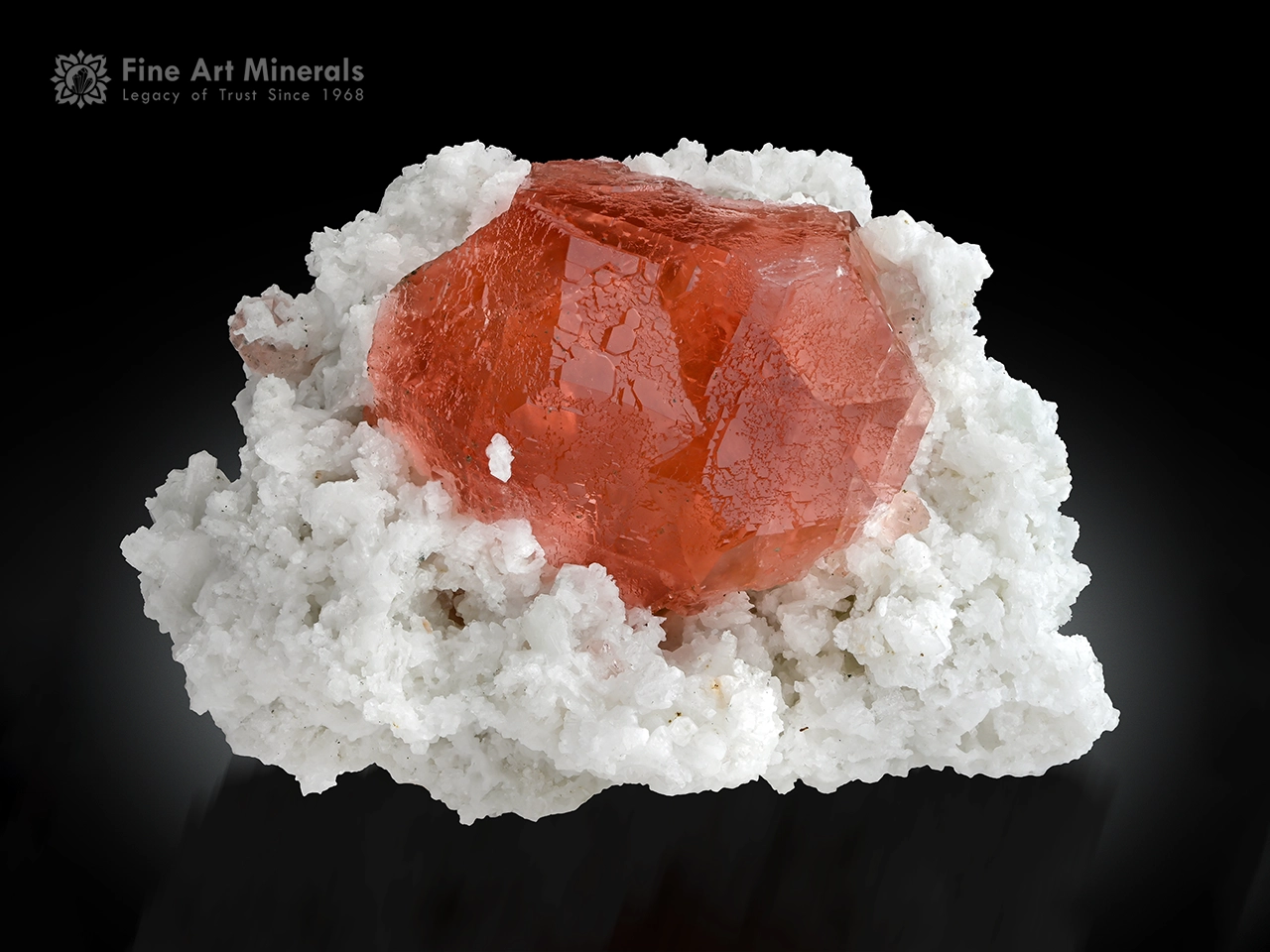Bright pink fluorite crystal on white albite matrix from Chumar Bakhoor Nagar Valley, Pakistan.