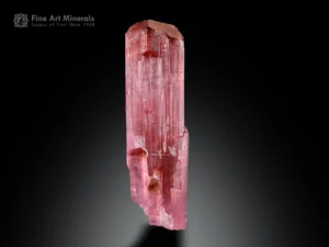 Elongated pink tourmaline crystal with vertical striations and small side crystals.