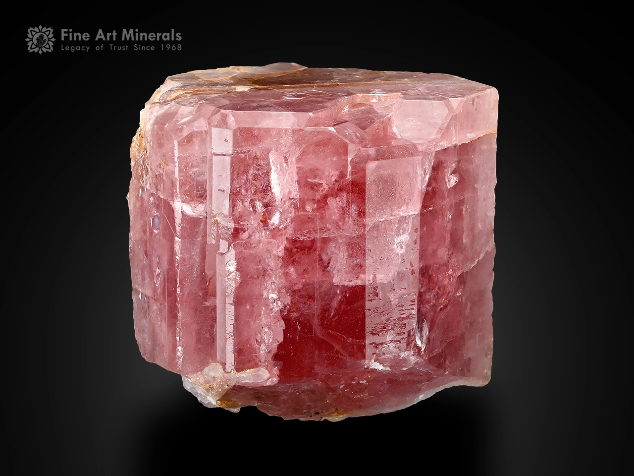 Pink apatite crystal with muscovite showing natural form and soft color from Pakistan.