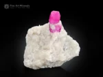 Ruby crystal on white matrix with pyrite fluorescent corundum specimen.