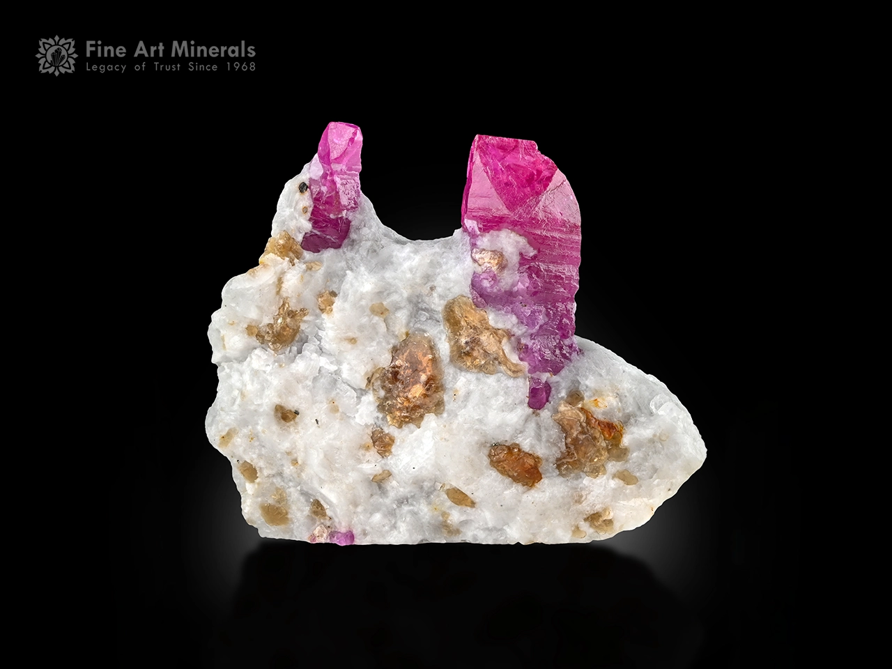 Ruby crystals on albite matrix with golden mica fluorescent mineral specimen.