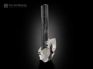 Long black schorl tourmaline crystal with vertical striations on quartz matrix with subtle albite.