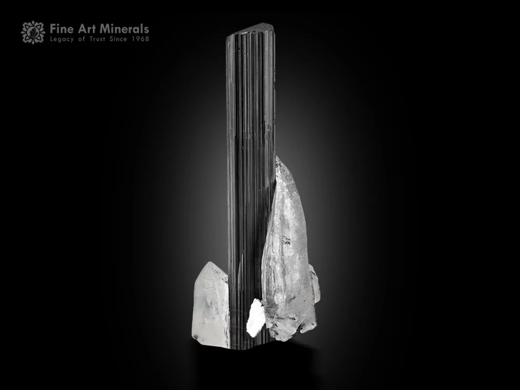 Long black schorl tourmaline crystal with vertical striations on quartz matrix with subtle albite.