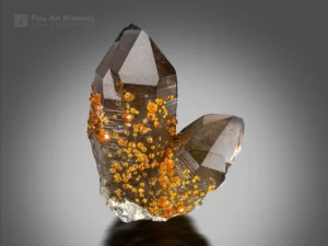 Spessartine garnet crystals on smoky quartz with sharp terminations from Wushan mine, Fujian, China.