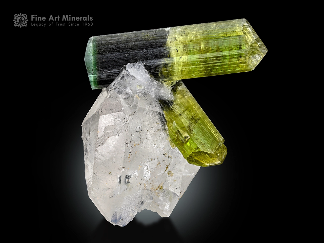Green tourmaline crystals with color zoning on a clear quartz matrix with good luster.