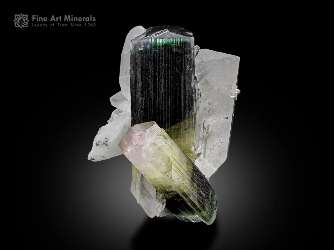 Tourmaline crystals with quartz and albite matrix, well-balanced mineral specimen