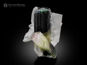 Tourmaline crystals with quartz and albite matrix, well-balanced mineral specimen
