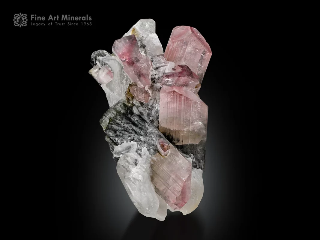 Bi-color tourmaline with pink and green zoning on quartz from Stak Nala Haramosh Mountains, Pakistan.
