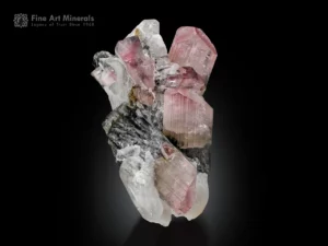 Bi-color tourmaline with pink and green zoning on quartz from Stak Nala Haramosh Mountains, Pakistan.