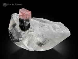 Bi-colored tourmaline crystal with pink and green zoning on a clear quartz matrix.