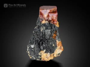 Zircon crystal on dark matrix, deep red color, sharp geometry, specimen.