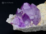 Fine purple Amethyst crystal cluster with glassy luster on a contrasting matrix.