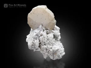Beryllonite crystal on white albite matrix showing clean form and subtle contrast.