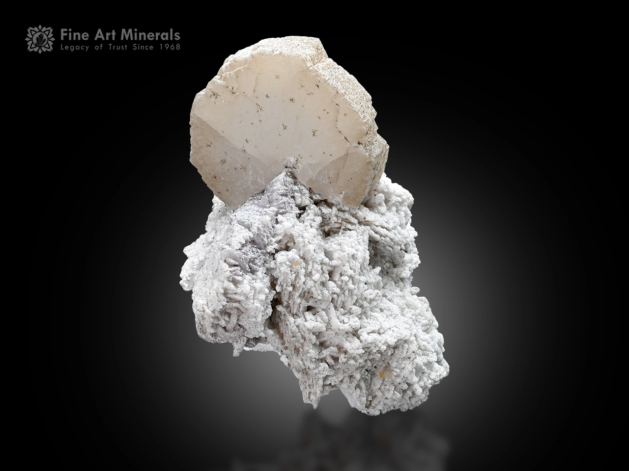Beryllonite crystal on white albite matrix showing clean form and subtle contrast.