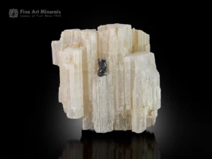White Beryllonite crystal formation with contrasting Tourmaline crystal from Pakistan.