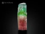 natural bi-color tourmaline crystal with green top and pink base, multi-faced termination, self-standing