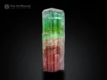 natural bi-color tourmaline crystal with green top and pink base, multi-faced termination, self-standing