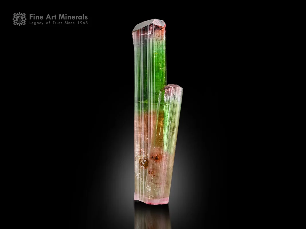 Bi-color green and pink Tourmaline crystal with Microlite from Paprok Valley, Afghanistan.