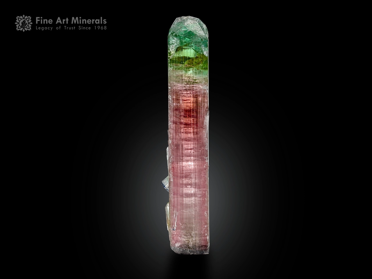 9 cm elongated bi-color tourmaline crystal with pink and green color zoning, doubly terminated, from Paprok Valley, Afghanistan.