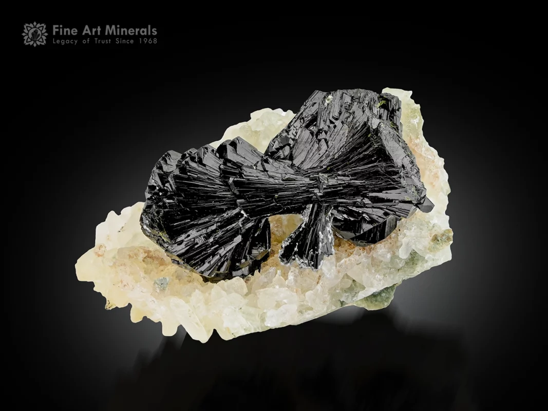 Lustrous black bow tie epidote crystals on white calcite matrix.