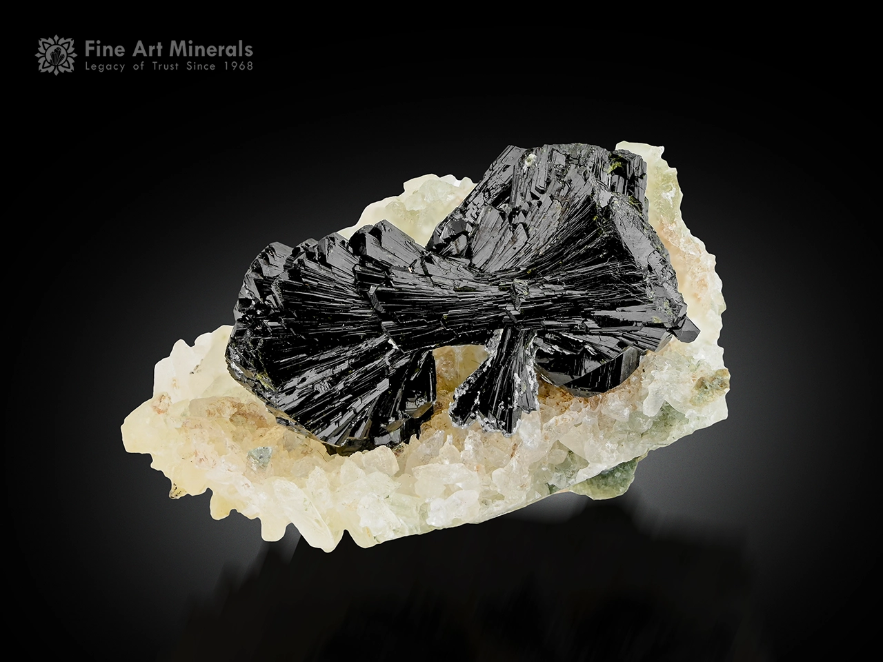 Lustrous black bow tie epidote crystals on white calcite matrix.