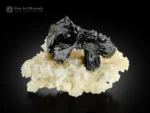 Lustrous black bow tie epidote crystals on white calcite matrix.