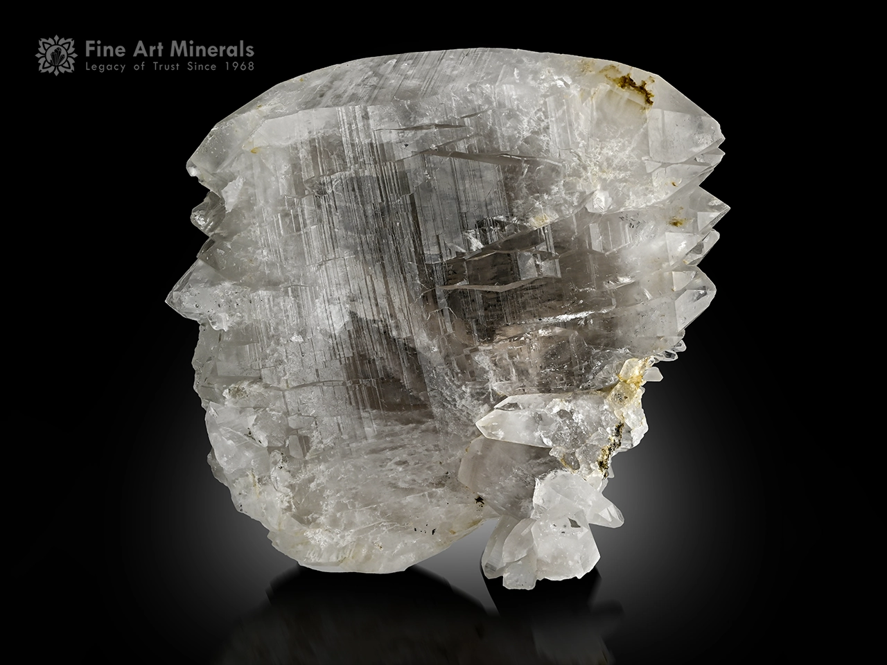 Large twisted Gwindel Quartz crystal with superb luster Large twisted Gwindel Quartz crystal with superb luster Large twisted Gwindel Quartz crystal with superb luster Large twisted Gwindel Quartz crystal with superb luster Large twisted Gwindel Quartz crystal with superb luster Large twisted Gwindel Quartz crystal with superb luster Large twisted Gwindel Quartz crystal with superb luster Large twisted Gwindel Quartz crystal with superb luster Large twisted Gwindel Quartz crystal with superb luster Large twisted Gwindel Quartz crystal with superb luster Large twisted Gwindel Quartz crystal with superb luster Large twisted Gwindel Quartz crystal with superb luster Large twisted Gwindel Quartz crystal with superb luster Large twisted Gwindel Quartz crystal with superb luster