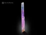 12.5 cm Kunzite crystal from Afghanistan showing violet-pink to lavender color zoning, etched termination, and vertical striations on a black background.