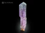 12.5 cm Kunzite crystal from Afghanistan showing violet-pink to lavender color zoning, etched termination, and vertical striations on a black background.