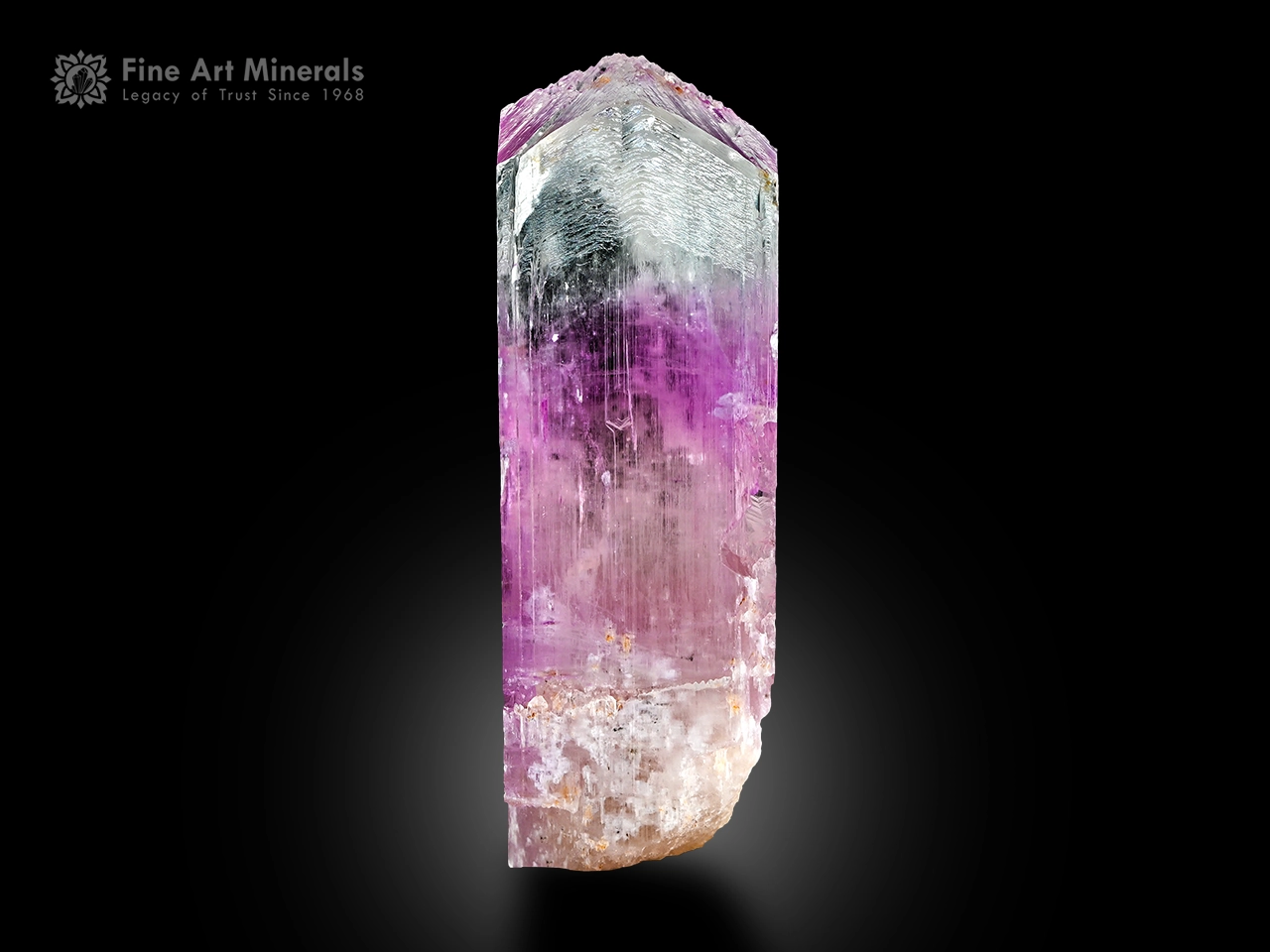 Kunzite Crystal, Spodumene Var., Afghanistan Kunzite crystal from Afghanistan with lilac color, natural colorless zones, and superb luster displayed against a black background