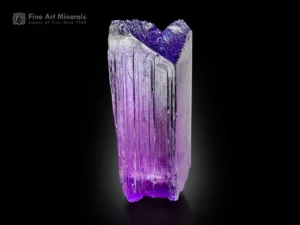 High-quality Kunzite crystal from Afghanistan with vivid pink and violet colors, strong vertical striations, and excellent luster.