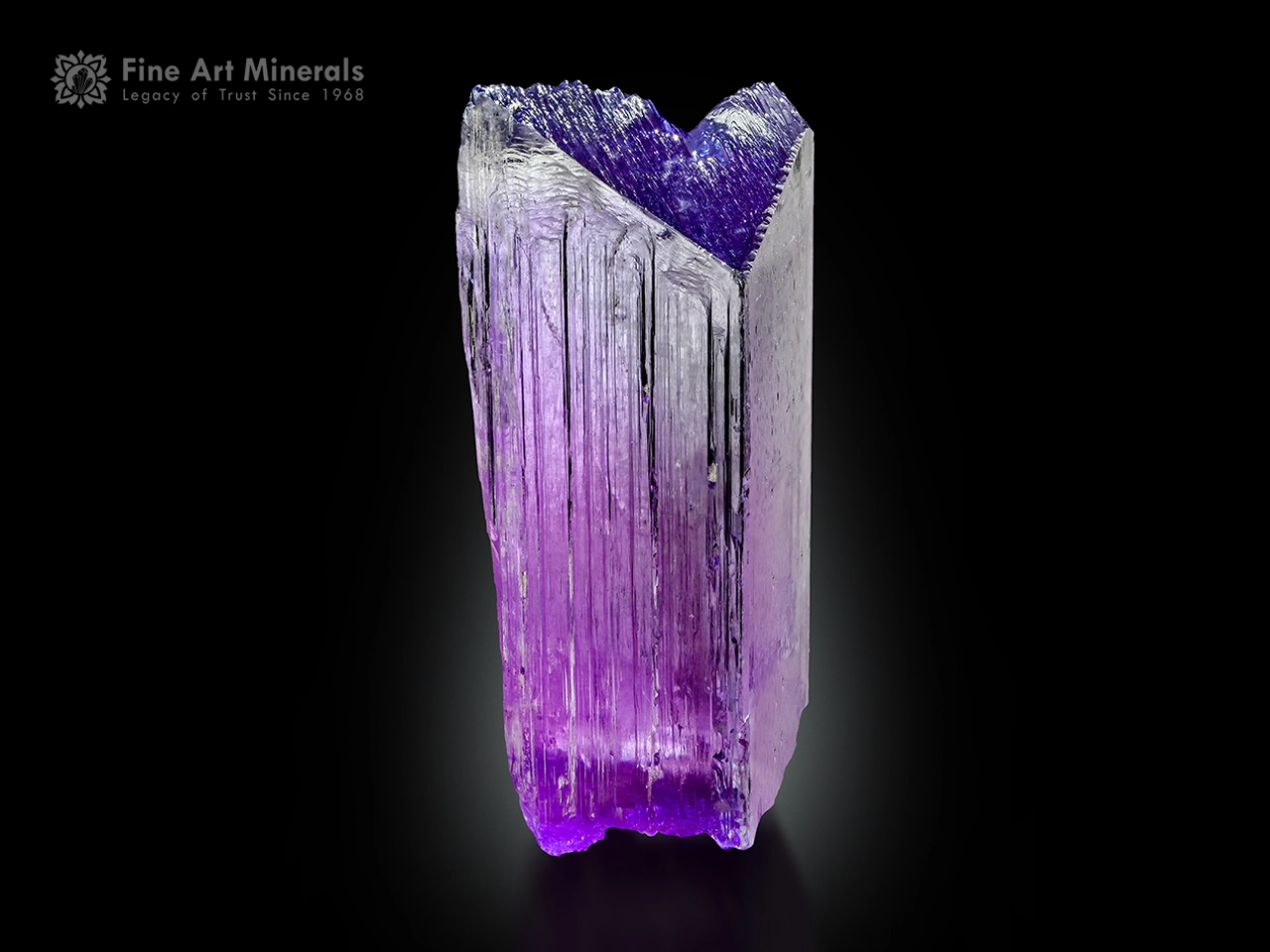 Kunzite crystal, Paprok, Afghanistan High-quality Kunzite crystal from Afghanistan with vivid pink and violet colors, strong vertical striations, and excellent luster.