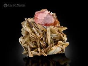 Pink apatite crystal nestled in silvery muscovite blades showing good luster and contrast.