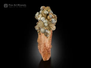 Rounded metallic Pyrite clusters on earthy Limonite matrix from Pakistan.