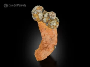 Metallic Pyrite clusters on warm-toned Limonite matrix from Pakistan