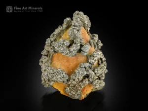 Dense metallic Pyrite clusters on orange-brown Limonite matrix from Pakistan