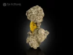 Metallic pyrite crystals on a yellow limonite matrix.