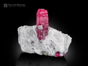Red ruby crystal on white albite matrix showing strong contrast and excellent luster.