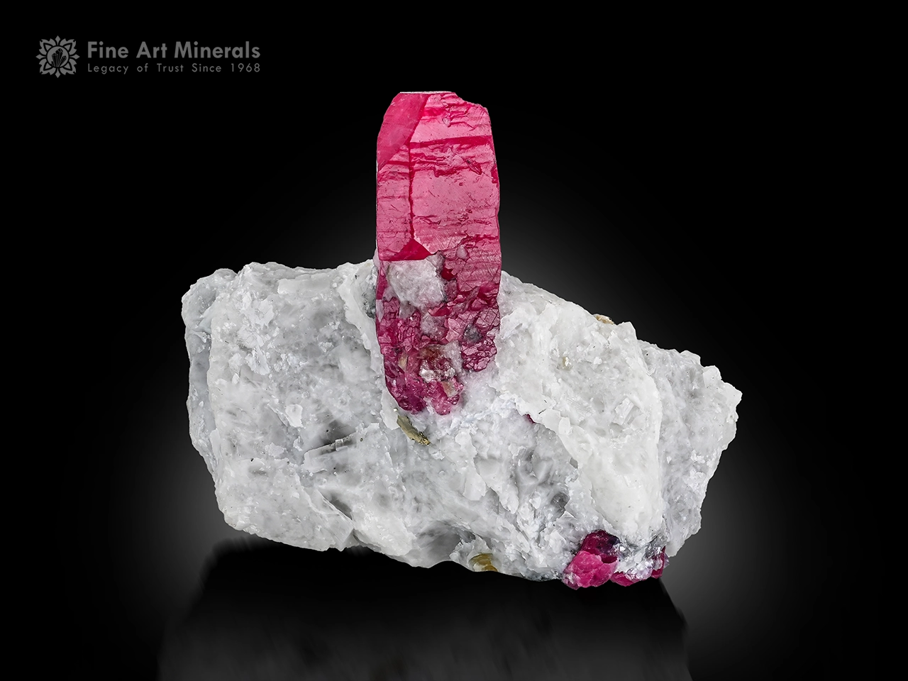 Red ruby crystal on white albite matrix showing strong contrast and excellent luster.