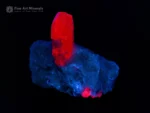 Red ruby crystal on white albite matrix showing strong contrast and excellent luster.