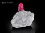 Red ruby crystal on white albite matrix showing strong contrast and excellent luster.