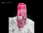 Red ruby crystal on white albite matrix showing strong contrast and excellent luster.