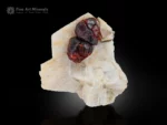 Fiery Spessartine Garnet crystals with Apatite on white Feldspar matrix.